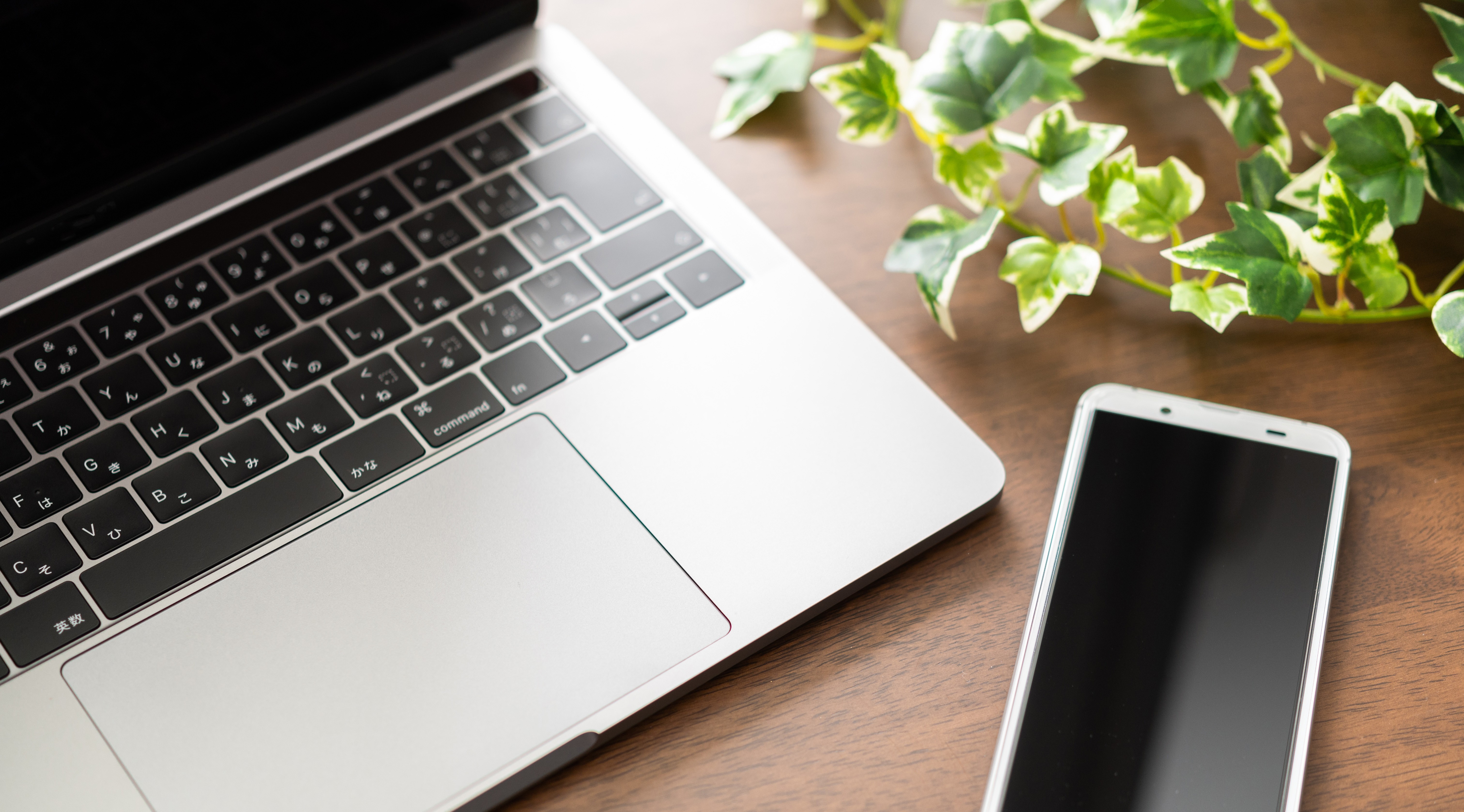 「デジタル終活」とは？始め方やポイントを解説